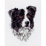        Anchor "Border Collie" 11*8, MEZ , PCE219      