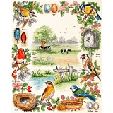 Купить недорого   Набор для вышивания Anchor "Birds Sampler" 44*35см, MEZ Венгрия, PSC52  в интернет магазине Фэмили хоби