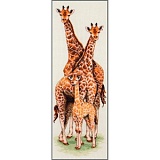        Anchor "Giraffe Family" 47*14, MEZ , PCE740      