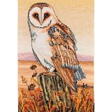 Купить недорого   Набор для вышивания Anchor "Owl Horizon" 23*16см, MEZ Венгрия, PCE604  в интернет магазине Фэмили хоби