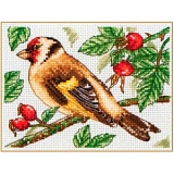 Купить недорого   Набор для вышивания Anchor "Goldfinch" /Щегол/ 8*11см, MEZ Венгрия, PCE205  в интернет магазине Фэмили хобби